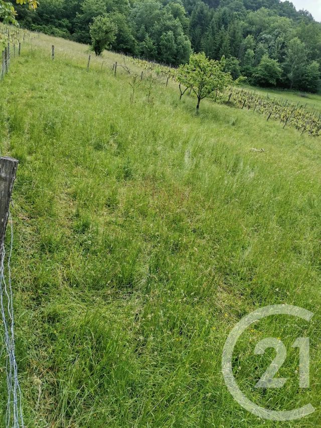 terrain à vendre - 733.0 m2 - JUJURIEUX - 01 - RHONE-ALPES - Century 21 Christal Immobilier terrain à vendre - 733.0 m2 - JUJURIEUX - 01 - RHONE-ALPES - Century 21 Christal Immobilier