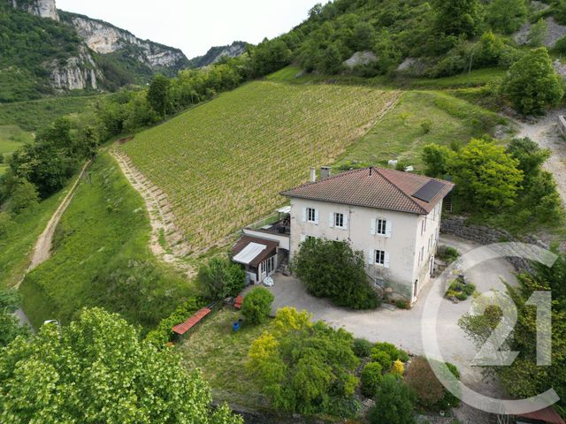 maison - CERDON - 01